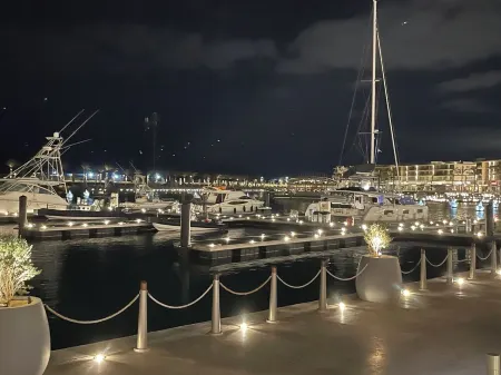 main swimming pool, beach, Marina, shopping, dining and night life,… are 2 steps