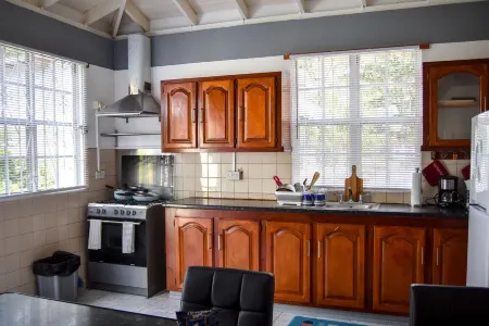 Luxury Green Castle Apartment#2 in Roseau