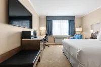 Best Western Plus Columbia River Hotel Hotels in Genelle