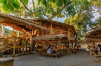Wonderful 2-bedroom cottage with AC in charming Ceiba. Minutes from the Ferry. - 民宿