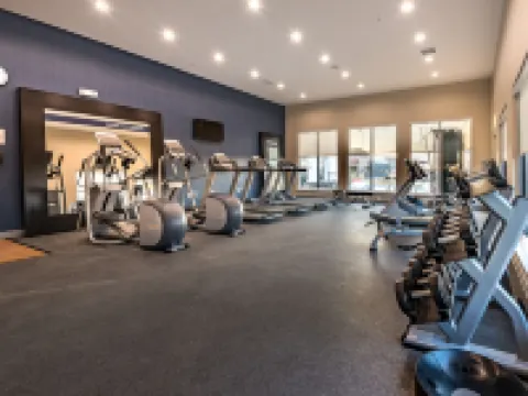 Hampton Inn & Suites Dallas-The Colony Hotels in The Colony