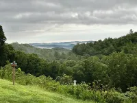 Evergreen, mountain cabin 3mi south of Blowing Rock, NC, views, creek, 56 acres.