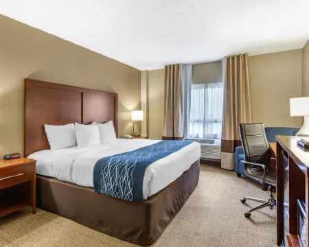 Comfort Inn Aikens Center Hotels in Berkeley County