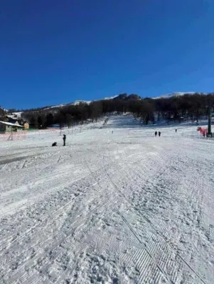 Cozy studio with WiFi in peaceful Bakuriani Hotels in 