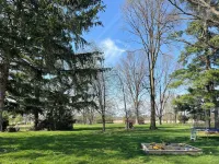 The Nature Loft: New 2-Br Apartment in Troy with Green Space + Patio