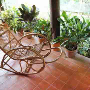 Jungle House - Cottage dinner/b&b Hotel Exterior