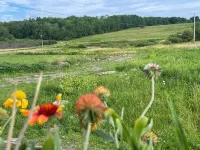 Quiet 2-bedroom country cabin with scenic views 3 miles from Norwich NY.