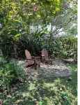 Downtown Tropical Studio