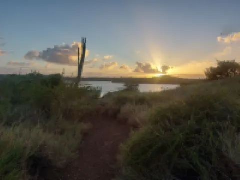 Stay in the beautiful Boho Bunita apartment under the Caribbean sun! Hotels in Sint Michiel