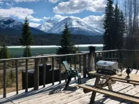 Lynx, wildlife, custom log cabin . private lake access, salmon stream kayaking, Hotels in Moose Pass