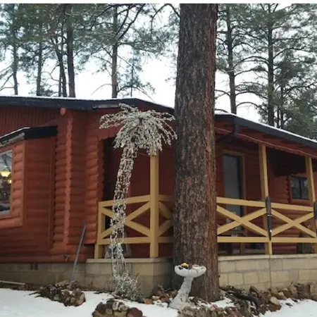 Rustic Cabin Bordering the Pines, Less than 1mi to DT Square
