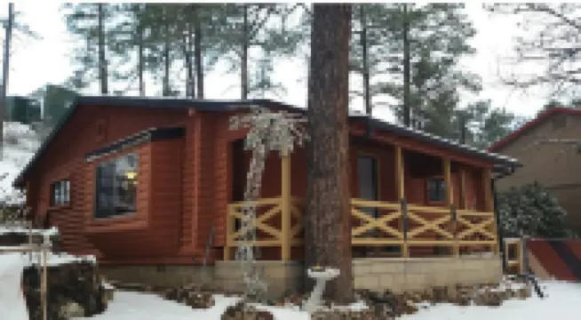 Rustic Cabin Bordering the Pines, Less than 1mi to DT Square