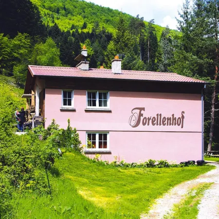 Apartment in Alsace with Nature Retreat