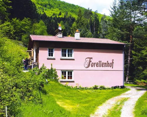 Apartment in Alsace with Nature Retreat Hotels in Dabo