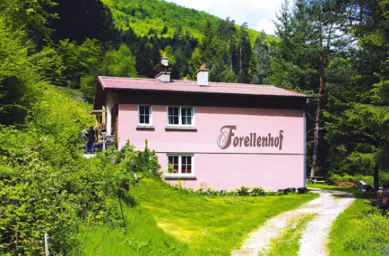 Apartment in Alsace with Nature Retreat