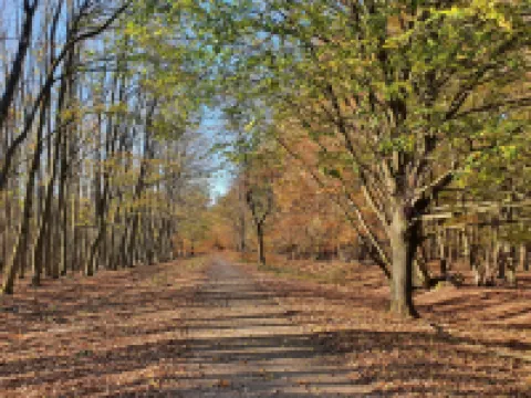 Eifel Quartier "Em Gardestüffje"