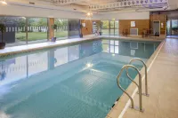 Holiday Inn NORWICH by IHG - Pool