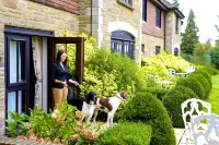 Ashdown Park Hotel - Villas