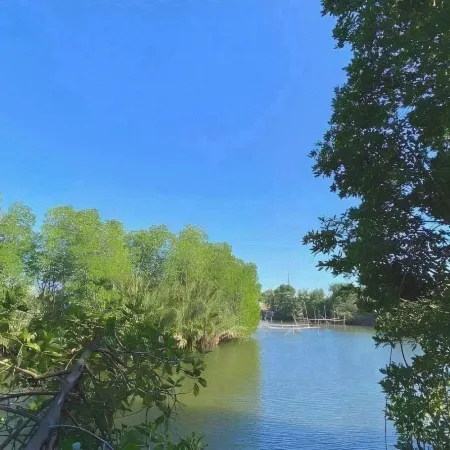 Rio Vista Bed and Breakfast