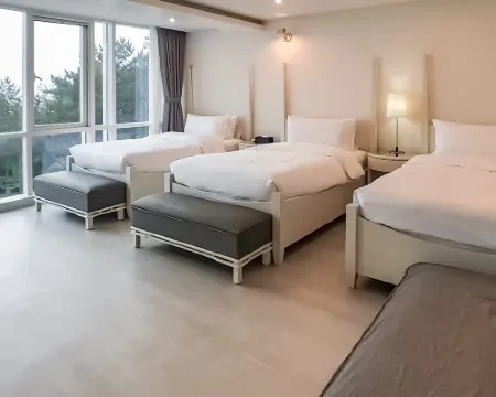 Owl Hotel Hotels in Sacheon