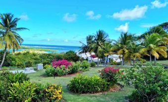 Castles in Paradise 1bd Apt C6 by Zenbreak