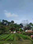 Menoreh Farm Stay Samigaluh Kulonprogo