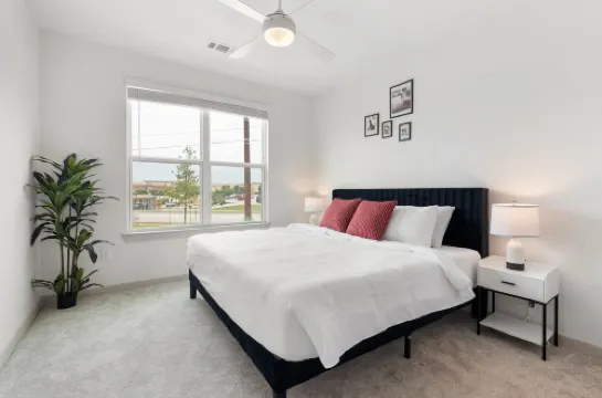 Large & Lively Apt