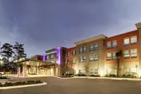 홀리데이 인 익스프레스 & 스위트 - 섬머빌 서머빌 호텔