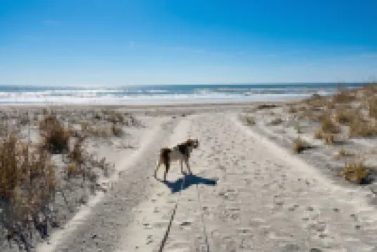 Family-Friendly Beach Home | Steps to Beach & Bay | Porch, Yard, Garage