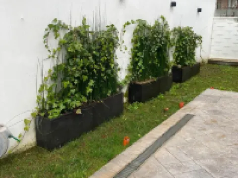 GREY HOUSE SRLS Hoteles en Latina