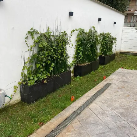 GREY HOUSE SRLS