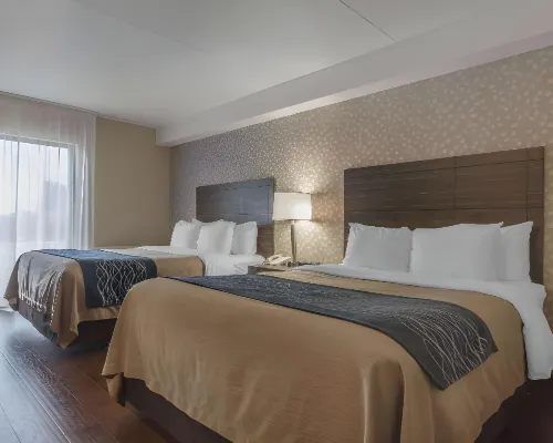 Comfort Inn Hotels in Levis