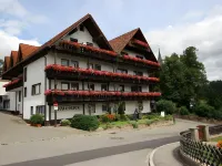 Waldblick BSR Hotel Restaurant Hotels in Donaueschingen