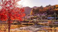 Cheorwon Yeongjin Pension - 2-Star