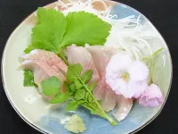 Kawabe Furusato No Yado Hotels in Ozu