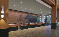 Great Wolf Lodge Traverse City - parking
