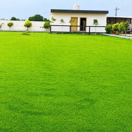 Vanam hotel and resort