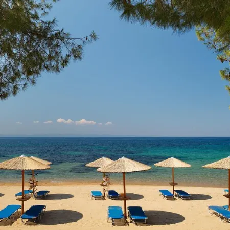 Blue Dolphin Hotel