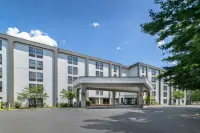奧爾巴尼狼道歡朋酒店 - Wi-Fi