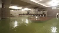 Hotel Gozensui - Hot Springs