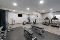 Hampton Inn & Suites Chicago/Hoffman Estates - Gym