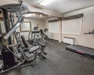 Quality Inn & Conference Centre - Gym