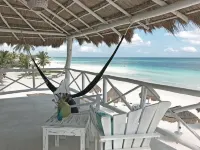 Coco Unlimited - Scenic