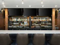 布盧明頓希爾頓花園酒店 - 酒吧