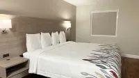 Red Roof Inn & Suites Swansea - parking
