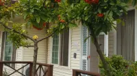 Seocheon Heimmar Pension - สัตว์เลี้ยง
