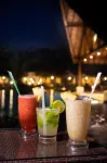 Alta Gracia Parque Hotel - bar