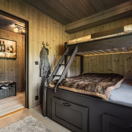 Mountain apartment in Hemsedal - For skiing and mountain tours