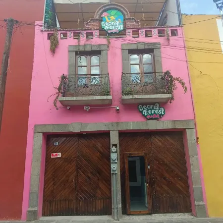 Secret Forest Hostal