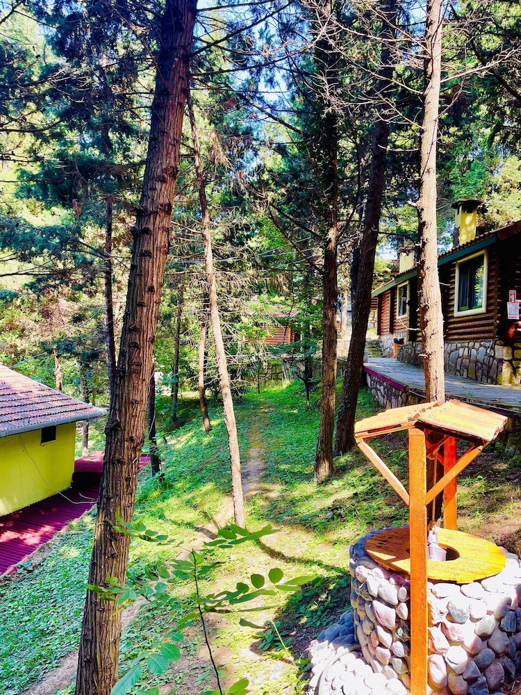 Ağva Orman Evleri Forest Lodge (Agva Orman Evleri Forest Lodge)